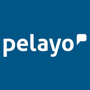 Logo de Pelayo Pelayo