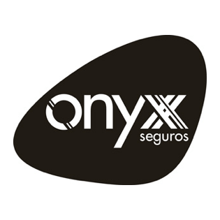 Producto Básico de Onyx Producto Básico de Onyx