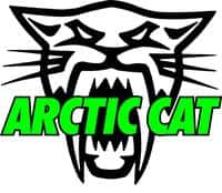 Arctic cat