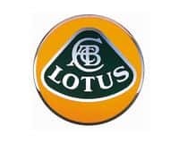 Lotus
