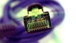 Dm1