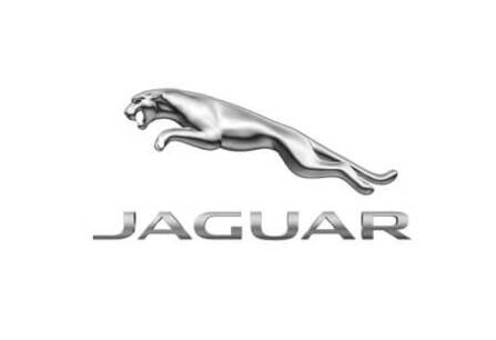 Imagen de Jaguar