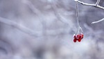 Ola De Frio