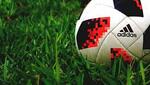 Un balón de fútbol en el césped